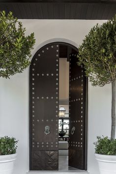 two potted trees are in front of the entrance to a house with an iron door