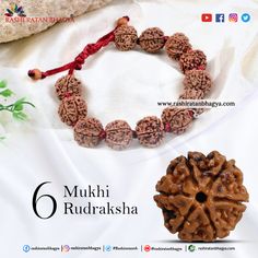 6 Mukhi Rudraksha Increase Stamina, Price Range, Beads