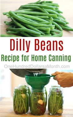 green beans in mason jars with text overlay that reads diy beans recipe for home canning