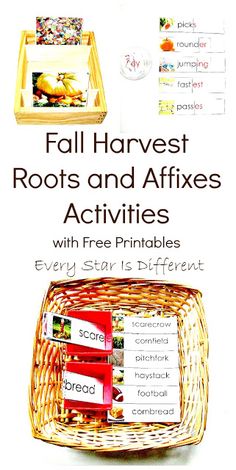 an advertisement for fall harvest roots and affixes activities with free printables