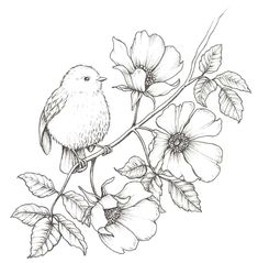 a black and white drawing of a bird on a branch with flowers