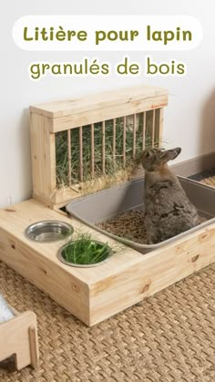 Lapin dans un râtelier litière Outdoor Rabbit Run, Rabbit Shed, Crazy Bunny Lady, Diy Rabbit Hutch, Outdoor Rabbit Hutch, Pet Rabbit Care, Bunny Hutch, Bunny Room