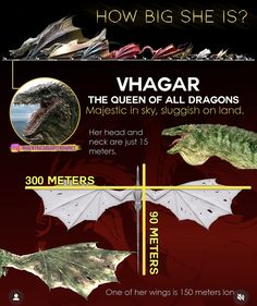 an info sheet showing the different types of dragon wings