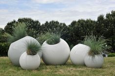 three large white vases with plants in them on the grass near some bushes and trees