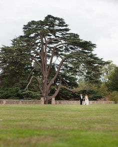 a bride and groom standing in front of a large tree