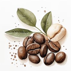 coffee beans with leaves and powdered sugar on the side, painted in watercolor