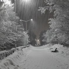 a snow covered road with trees and street lights