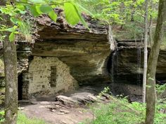 a cave in the woods with water coming out of it