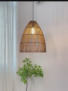 a bamboo lamp hanging over a table next to a potted plant