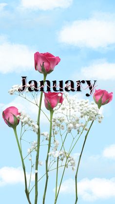 pink and white flowers with the words january in front of blue cloudy sky, on a sunny day