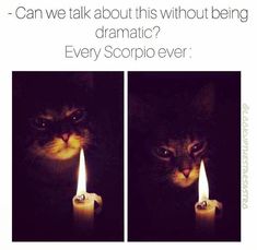 Scorpio Funny Humor, Astrology Humor