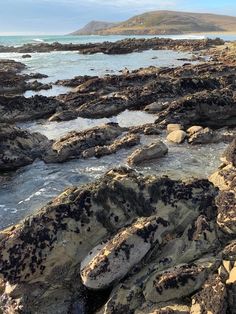 the rocky shore is covered in seaweed and rocks, with mountains in the distance