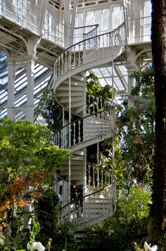 there is a spiral staircase in the middle of trees and flowers on the ground below it