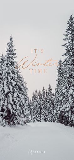 the words it's winter time are in gold on top of snow covered trees