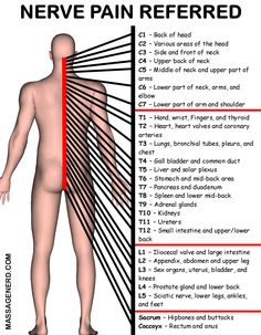 Punkty Spustowe, Marriage Box, Sistem Saraf, Body Anatomy