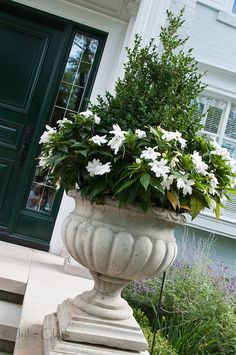 a large planter with white flowers in front of a green door and steps leading up to the house