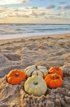 pumpkins and gourds lay in the sand at the beach as the sun sets