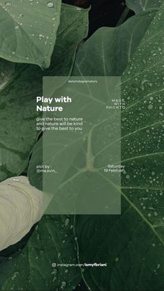 a brochure with leaves and water drops on it that says play with nature