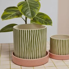 two green and white planters sitting next to each other on a tiled counter top