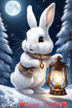 a white rabbit sitting next to a lantern on top of a snow covered ground at night