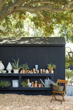 an outdoor garden with potted plants on a shelf