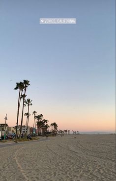 palm trees line the beach at sunset in venice, california