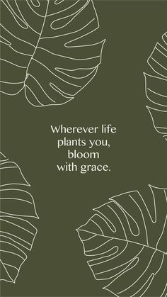 the words wherever life plants you, bloom with grace are shown in white on a green background