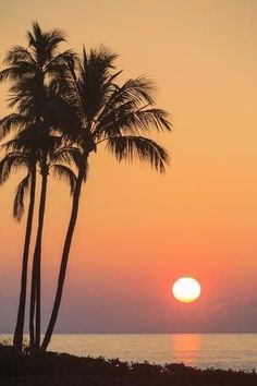 the sun is setting behind two palm trees