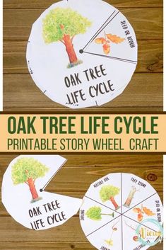 the oak tree life cycle printable story wheel craft for kids to read and practice