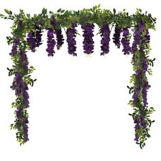 purple flowers are hanging down from the side of a white arch with green leaves on it