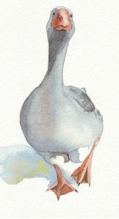 a watercolor painting of a seagull sitting on the ground