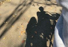 the shadow of a person riding a bike on a sidewalk with leaves all over it