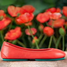 Size 9 Some Scratches On Toes And Heels Please See Pictures Smoke Free Home Reddish/Orange/Coral Color Poppy Color, Tieks Shoes, Reddish Orange, Orange Coral, Flat Color, Leather Ballet Flats, Coral Color, Color Orange, Flat Shoes Women