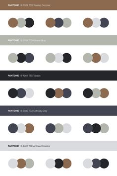 an info sheet with different colors and shapes for the design process, including circles in various sizes