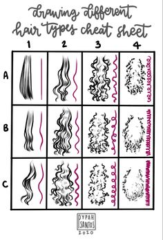 Drawing Curls Hair, Different Types Of Hair Drawing, How To Draw Different Hair Types, Hair Types Reference, Hair Texture Drawing Reference, Hair Chart Color, Drawing Hair Types, Hair Type Drawing, How To Draw Hair Texture