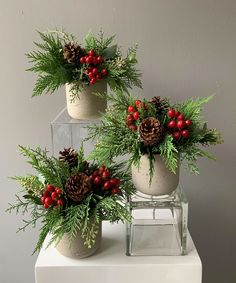 three potted plants with pine cones and red berries on them, sitting on a white table