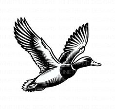 a black and white drawing of a duck flying in the air with its wings spread