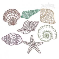 six different sea shells and starfishs on a white background, each with an intricate design