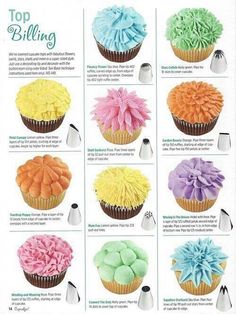 an advertisement for cupcakes with different colored frosting