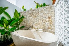 a bath tub sitting next to a lush green plant