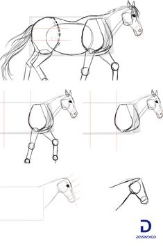 how to draw a horse step by step