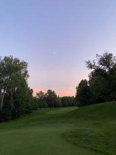 a green golf course with trees in the background and a pink sky at sunset or dawn