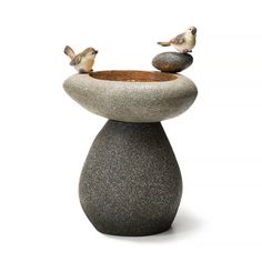 two small birds perched on top of a stone bowl filled with water and rocks in front of a white background