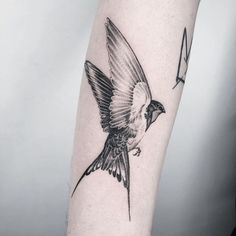 a small bird tattoo on the arm