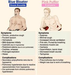 two different types of blue bloater and pink puffer are shown in this diagram