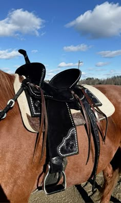 a brown horse wearing a black saddle and bridle on it's back