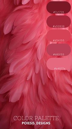 the color palette is pink, and it looks like an ostrich's feathers