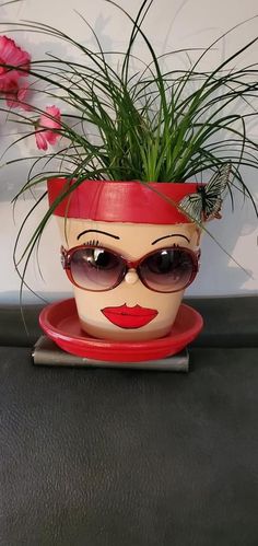 a potted plant with sunglasses on top of it