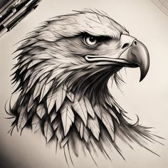 a drawing of an eagle with feathers on it's head and the eyes are drawn in pencil