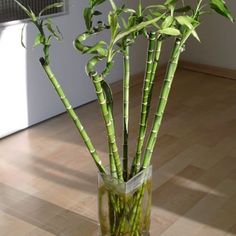 there is a glass vase with some green plants in it on the floor next to a window